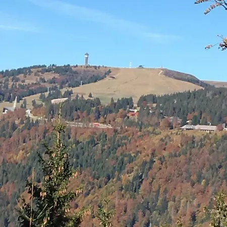 Breitnauschoen Apartment *
