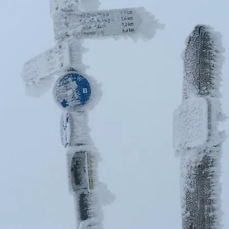 Breitnauschoen *